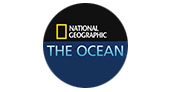 galeria de fotos del National geographic sobre el fondo del mar
