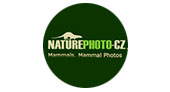 fotos increibles de mamiferos en el sitio de NATUREPHOTO